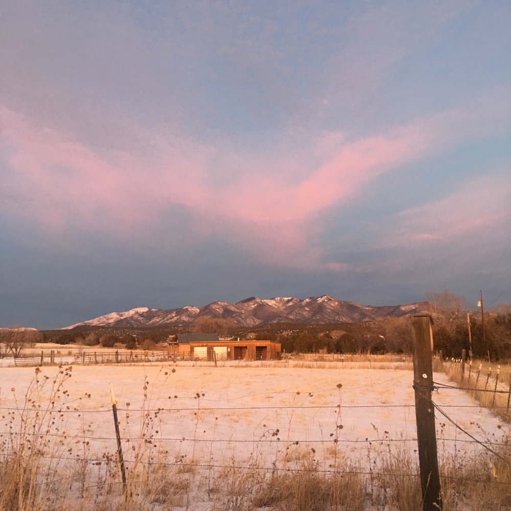 Meet your Posher, Holly jean